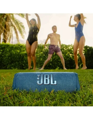 JBL Flip 6