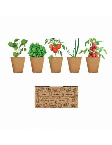 Salad growing kit SALAD | MO6499