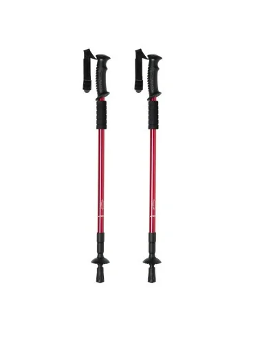 Walking Poles Set Brulen