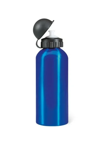 Aluminium bottle 600 ml BISCING