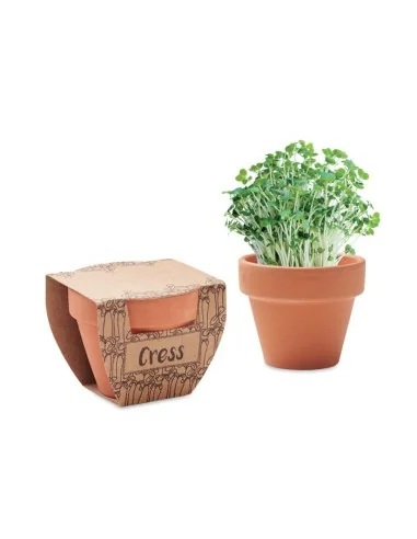 Terracotta pot cress seeds CRESS POT