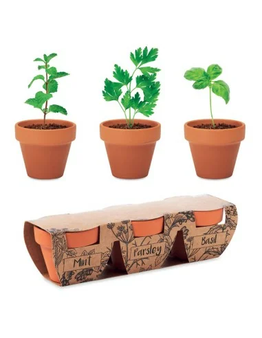 Juego de macetas de terracota FLOWERPOT