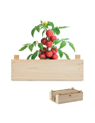 Mini-huerto tomates en caja TOMATO