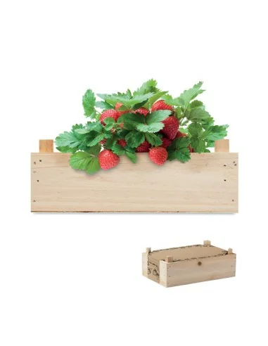 Strawberry kit in wooden crate STRAWBERRY