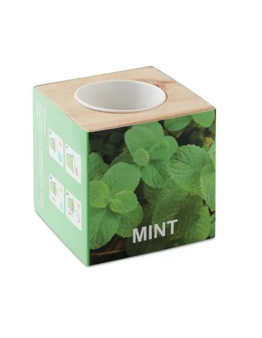 Herb pot wood "MINT" MENTA