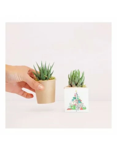 Cactus en recipiente biodegradable personalizado con tu logo